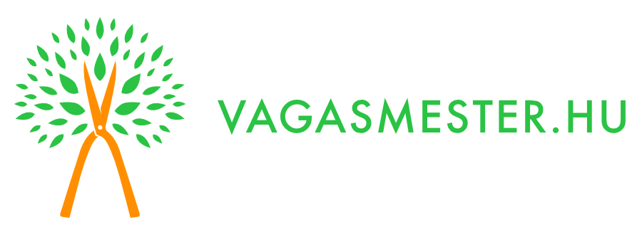 Vágás mester